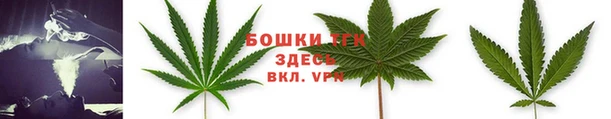 прущая мука Михайлов