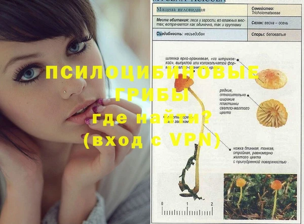 ALPHA-PVP Михайловск
