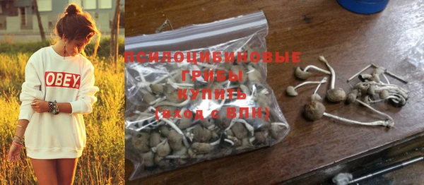 прущая мука Михайлов
